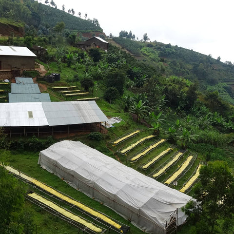 Die Kaffeegeschichte Ruandas, gesehen durch die Augen unserer Gründerin