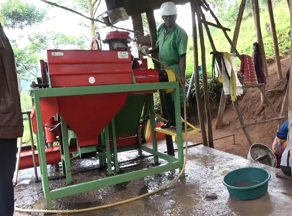 Stärkung der ruandischen Kaffeebauern: Ein Weg zur Nachhaltigkeit