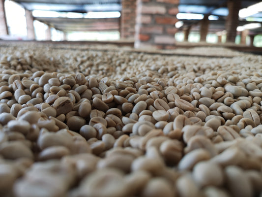 Der Weg zu einer perfekten Tasse ruandischen Kaffees - Teil 3: Kaffeesorten